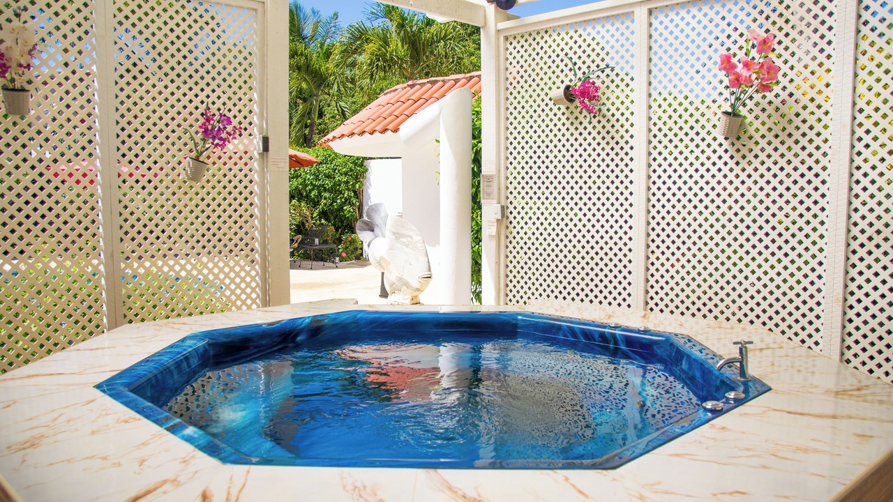 Photo of Patio Balcony in El Batey
