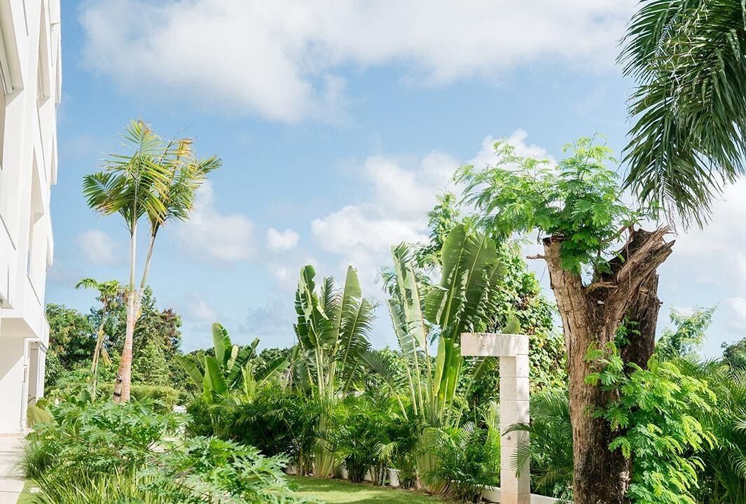 Photo of Outdoor in Las Terrenas