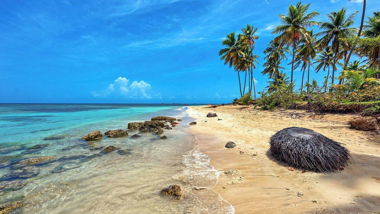 Photo of Others in Las Terrenas