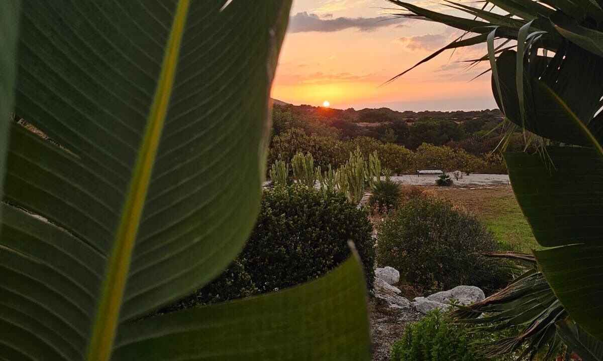 Photo of Outdoor in Kalavarda