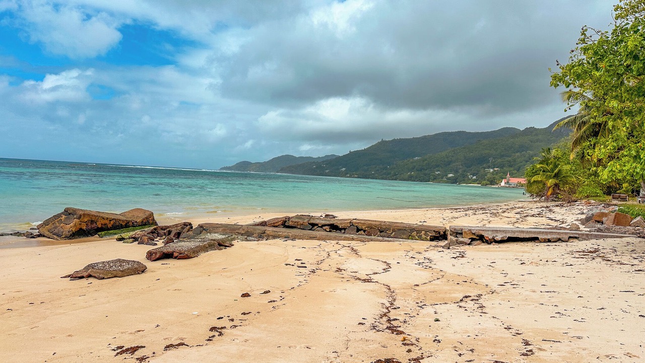 Photo of Others in Anse Royale