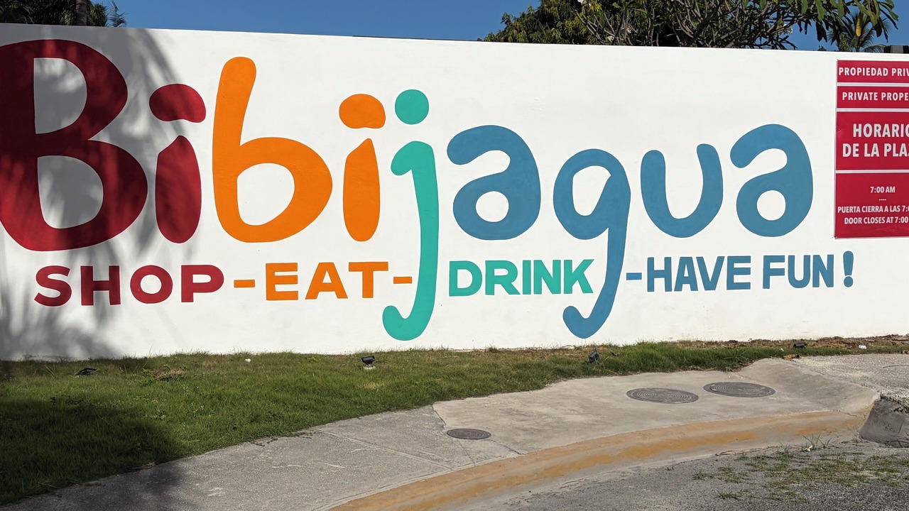 Photo of Others in Playa Bibijagua