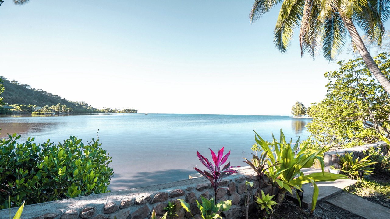 Photo of Outdoor in Moorea-Maiao