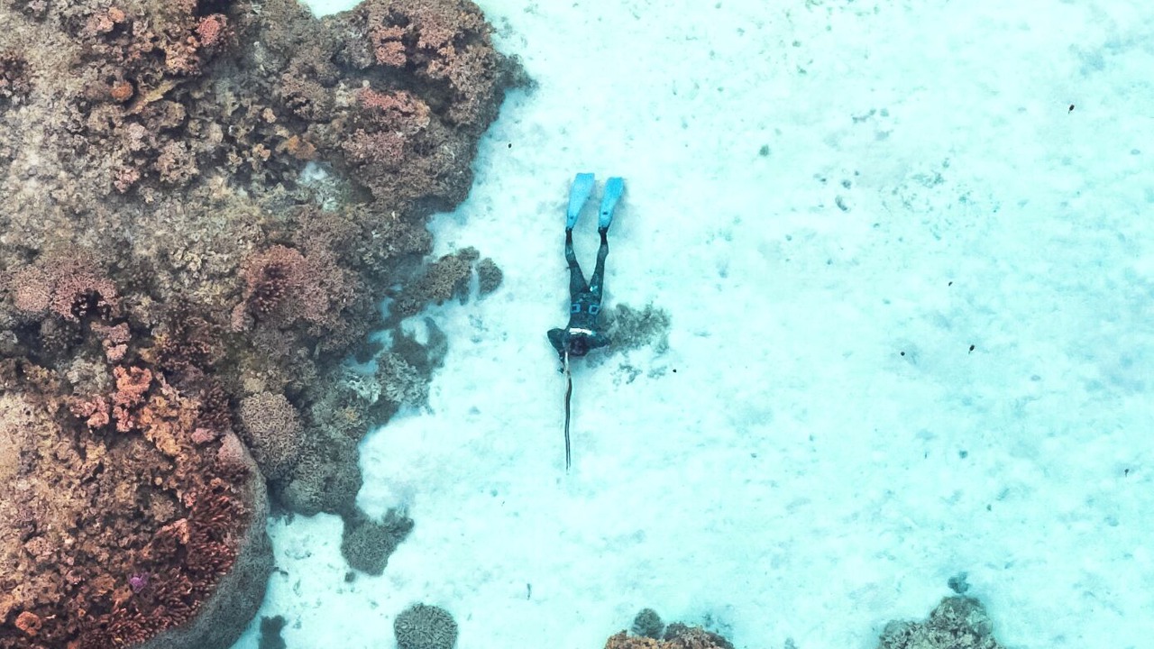 Photo of Others in Moorea-Maiao