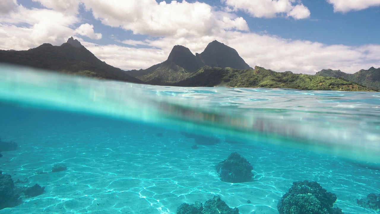 Photo of Others in Moorea-Maiao