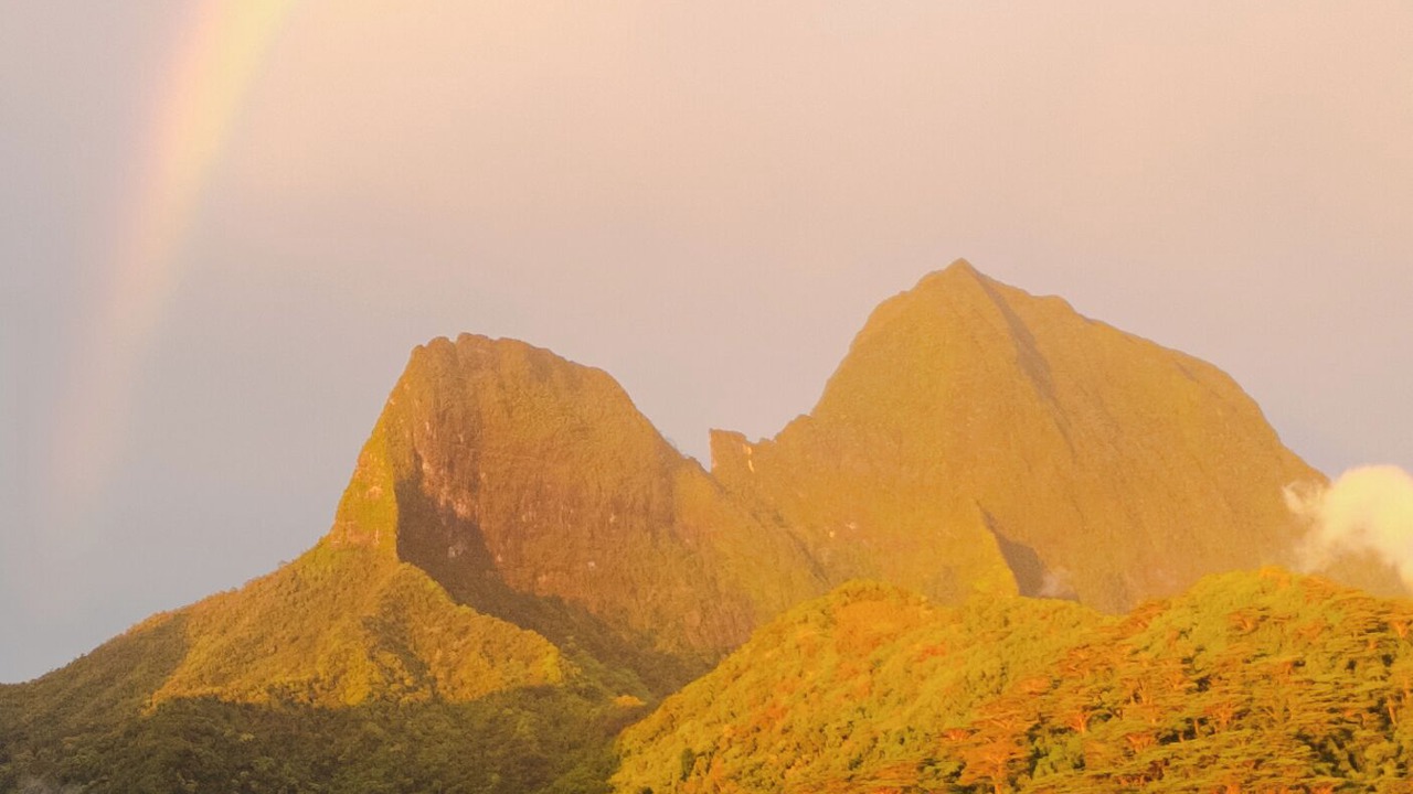 Photo of Others in Moorea-Maiao