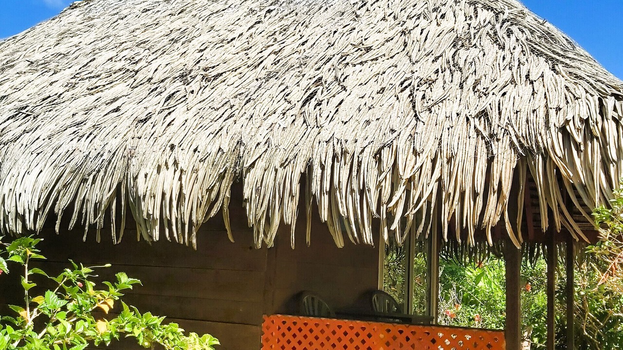 Photo of Outdoor in Huahine