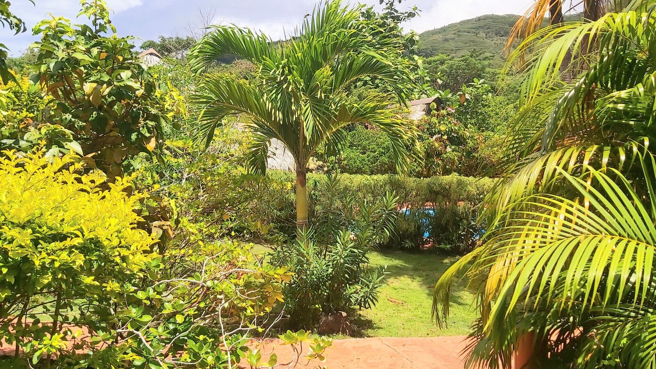 Photo of Outdoor in Huahine