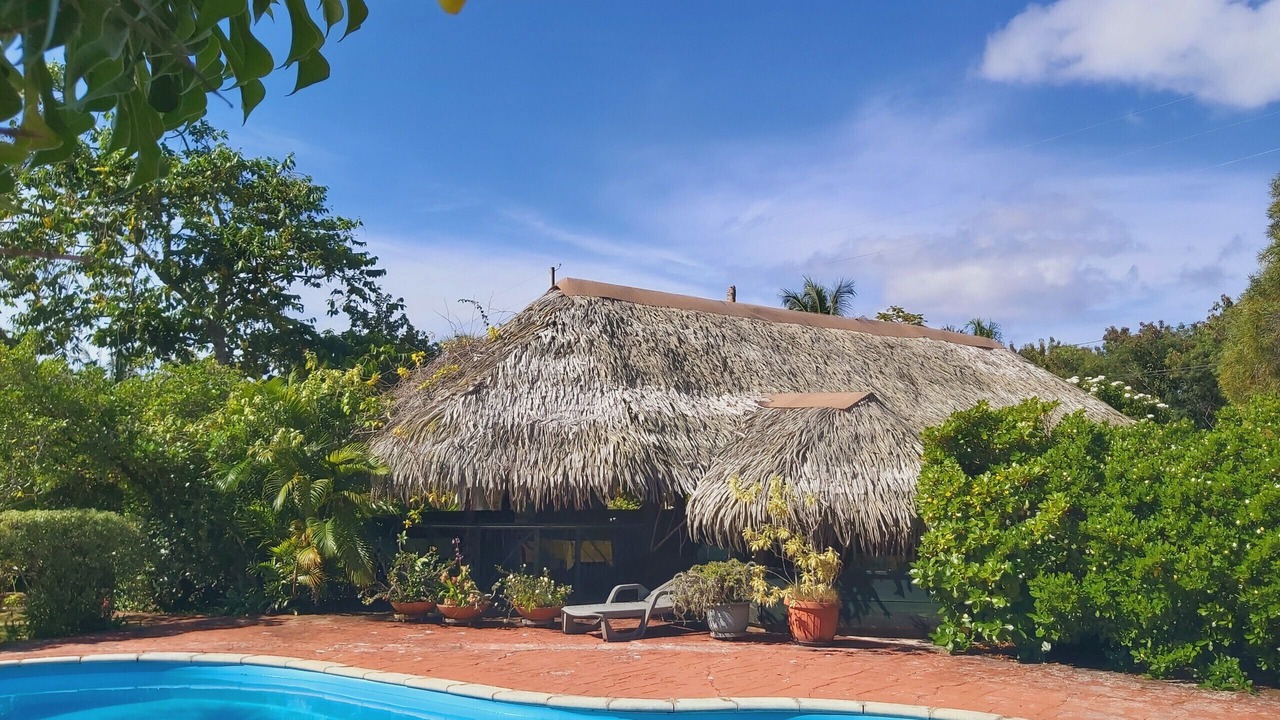 Photo of Outdoor in Huahine