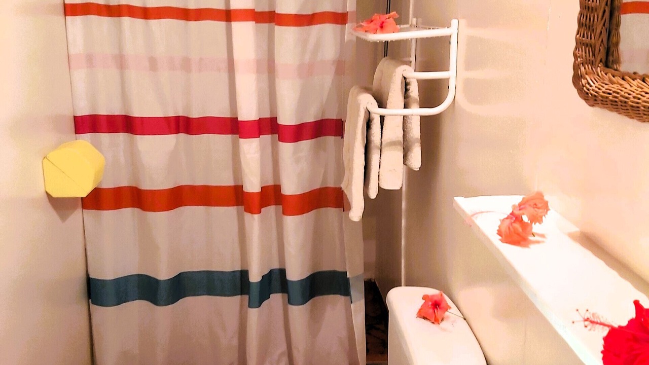 Photo of Bathroom in Huahine