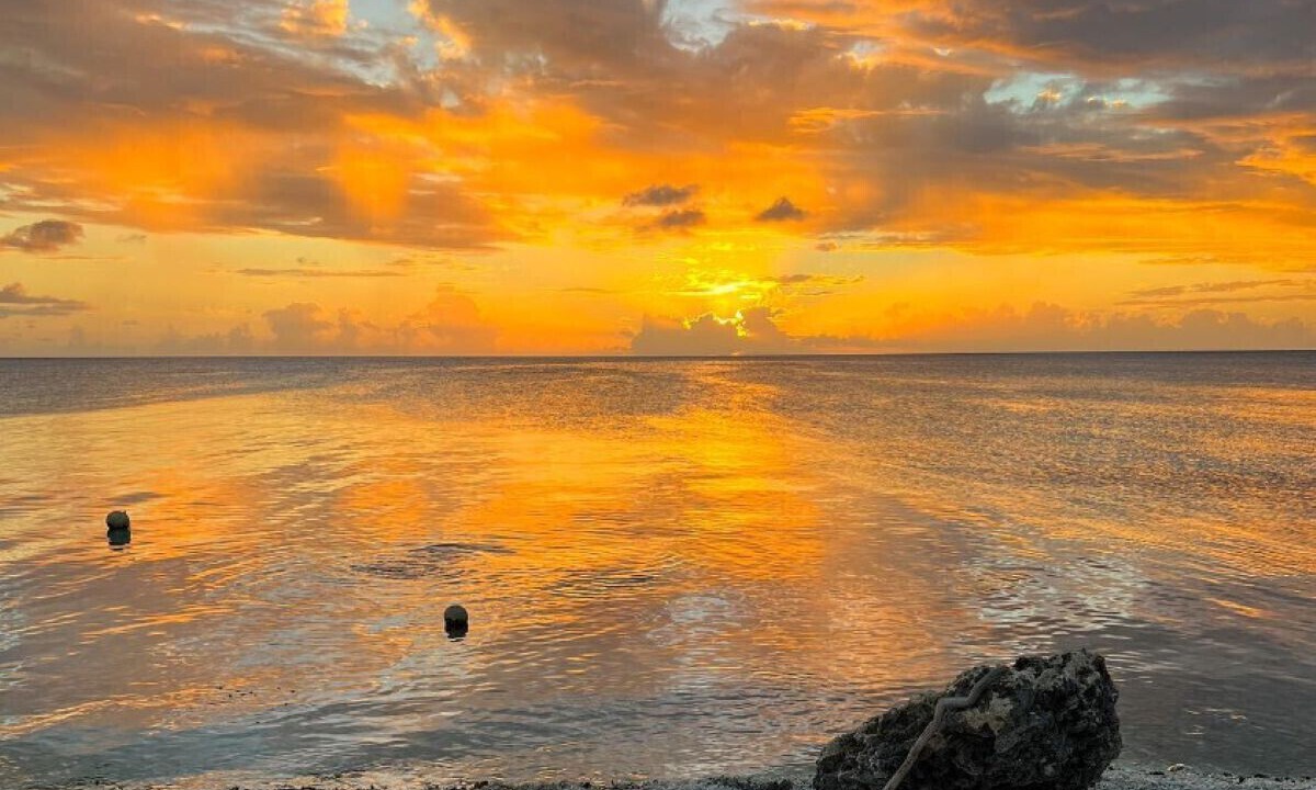 Photo of Others in Rangiroa