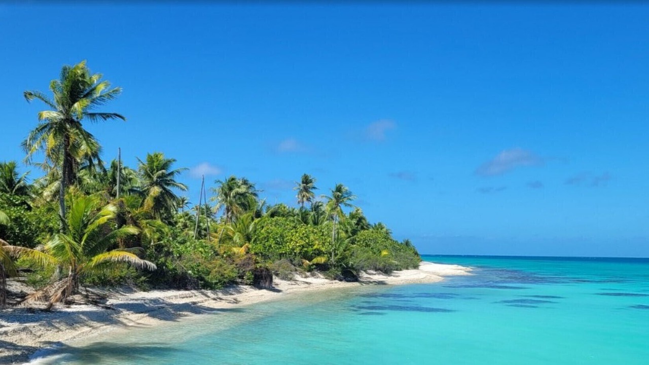 Photo of Others in Rangiroa