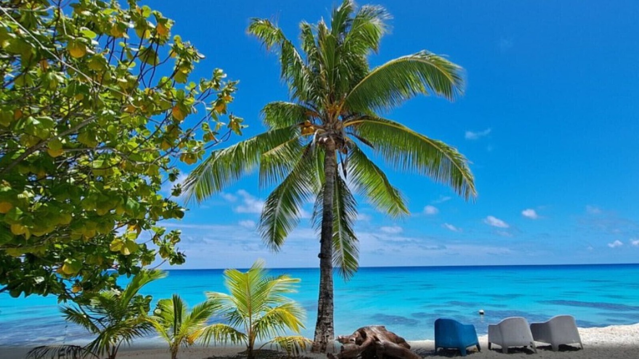 Photo of Others in Rangiroa