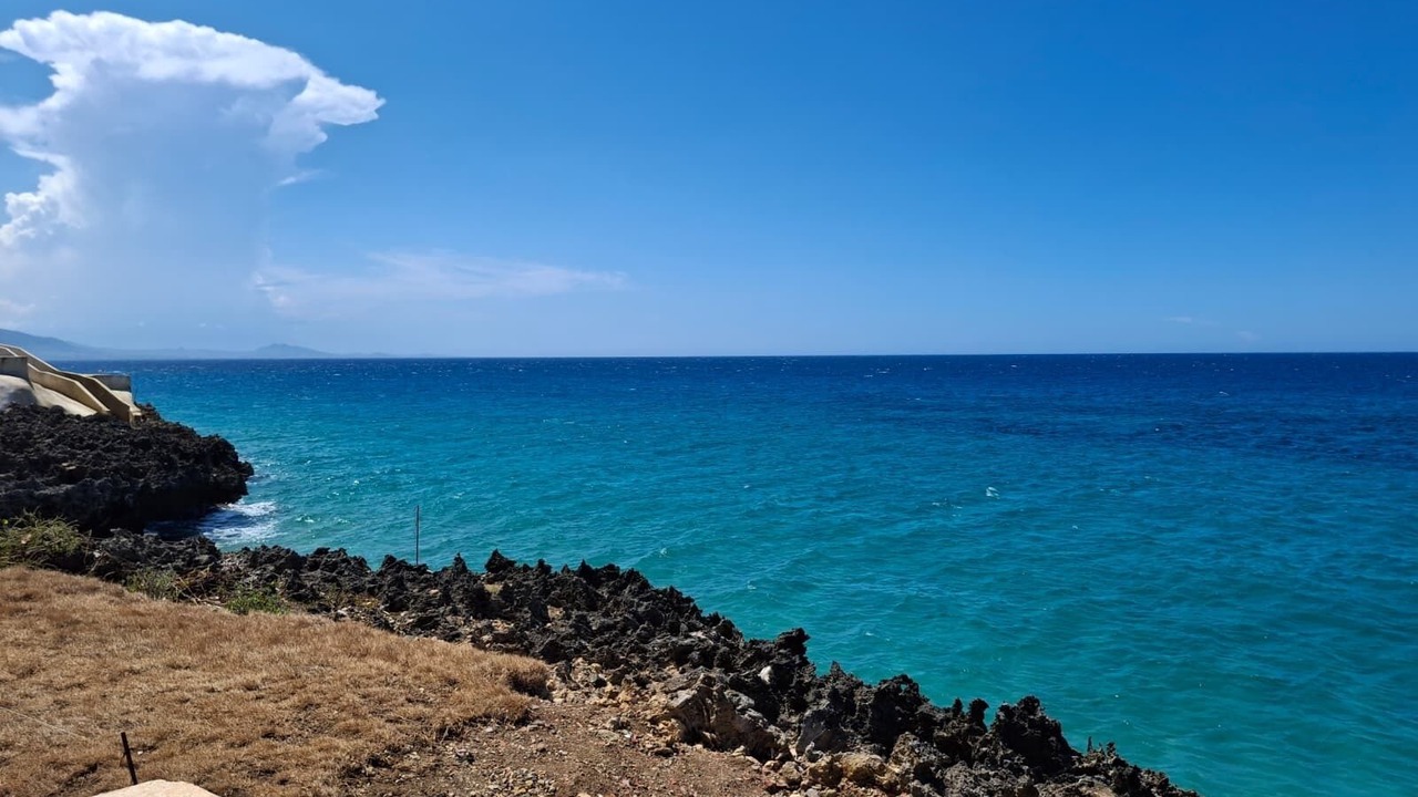 Photo of Others in Playa Chiquita