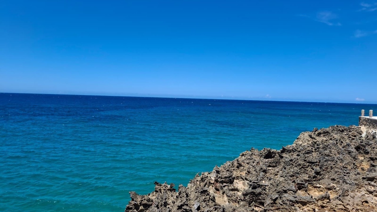 Photo of Others in Playa Chiquita