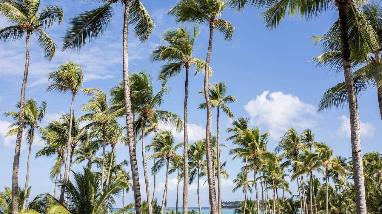 Photo of Others in Las Terrenas