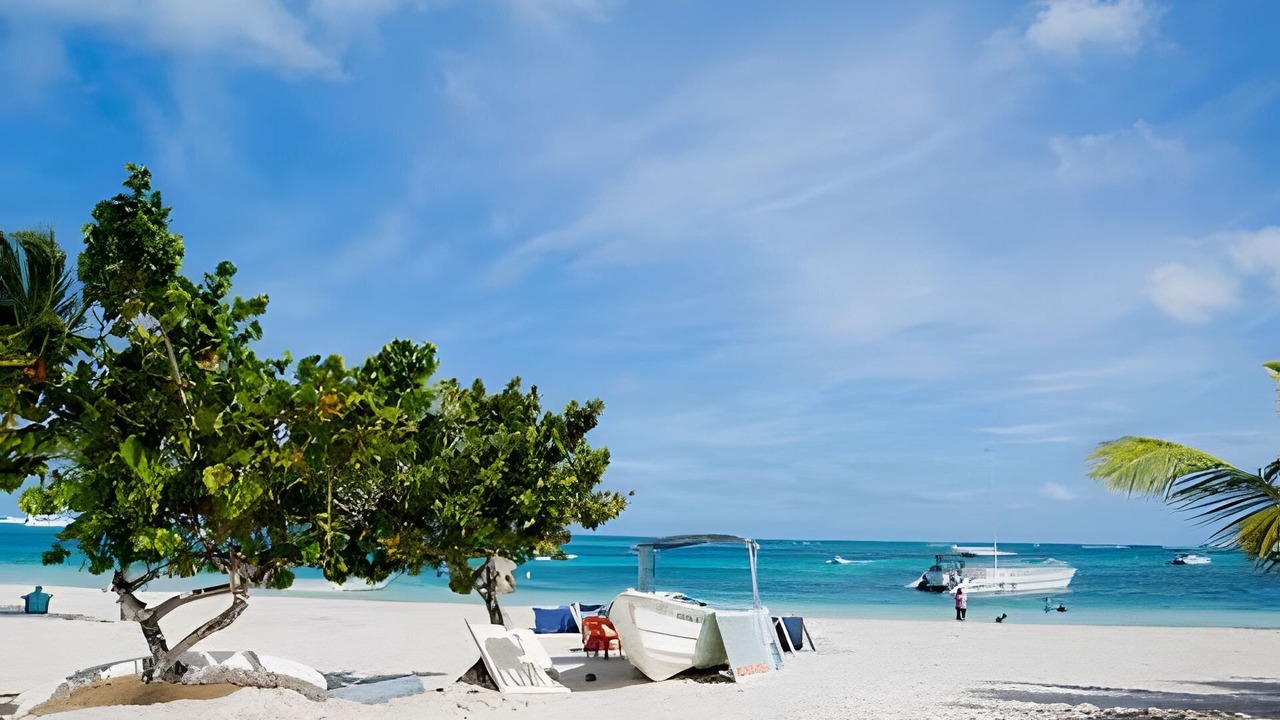 Photo of Others in Playa Bibijagua