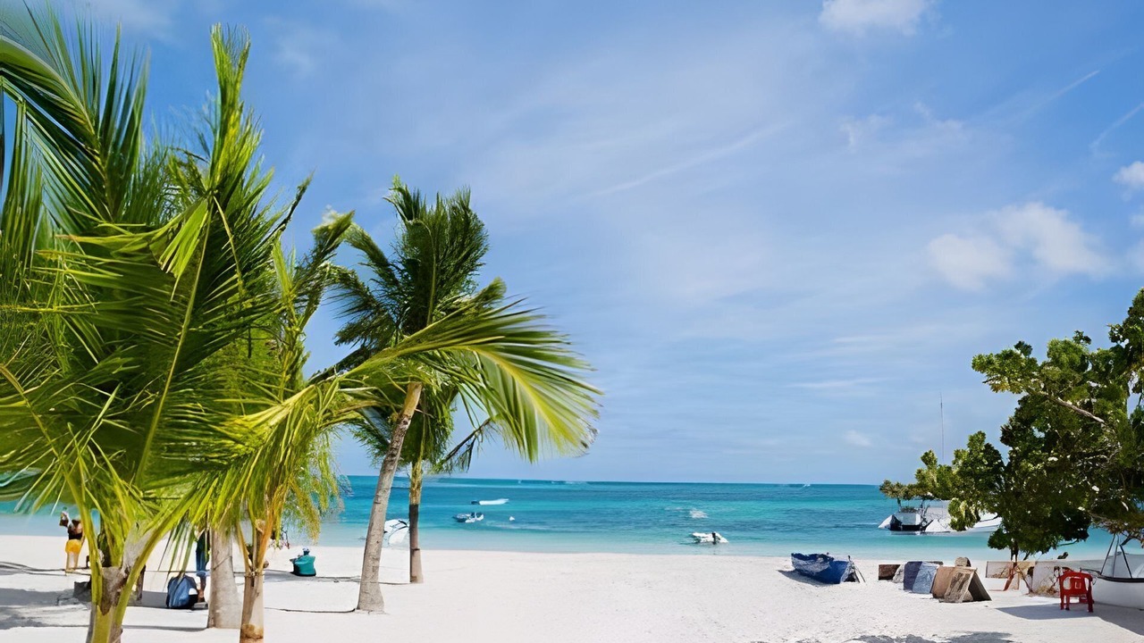 Photo of Others in Playa Bibijagua