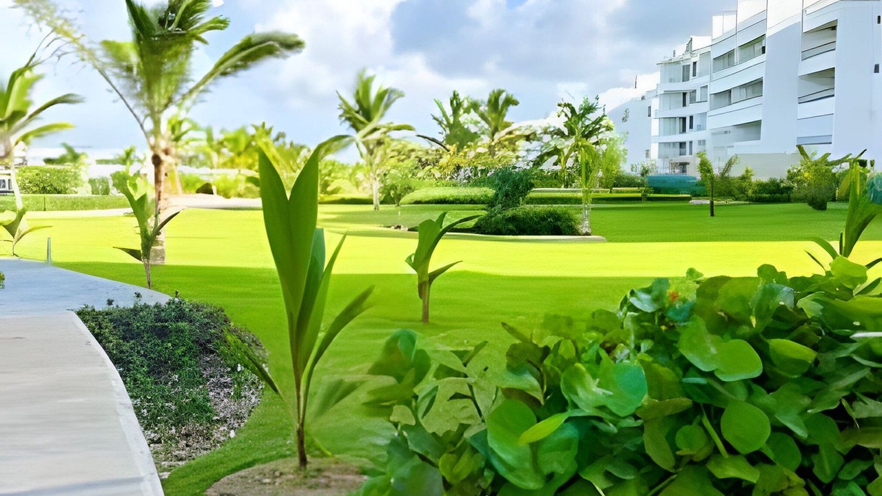Photo of Outdoor in Higuey