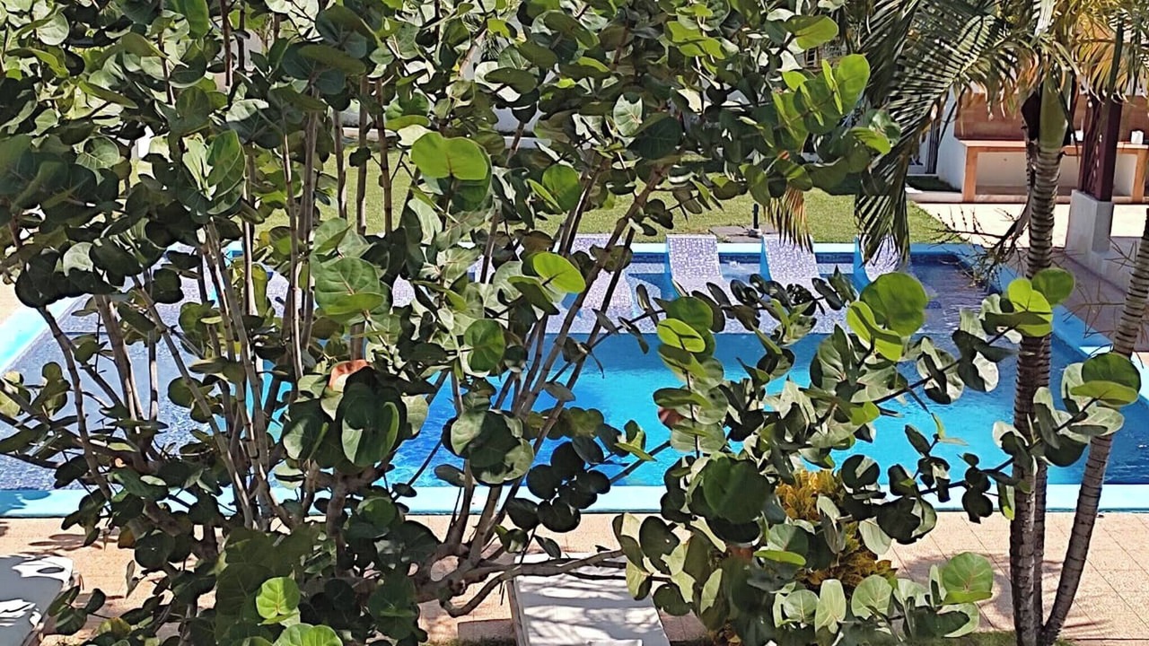 Photo of Outdoor in Rio San Juan