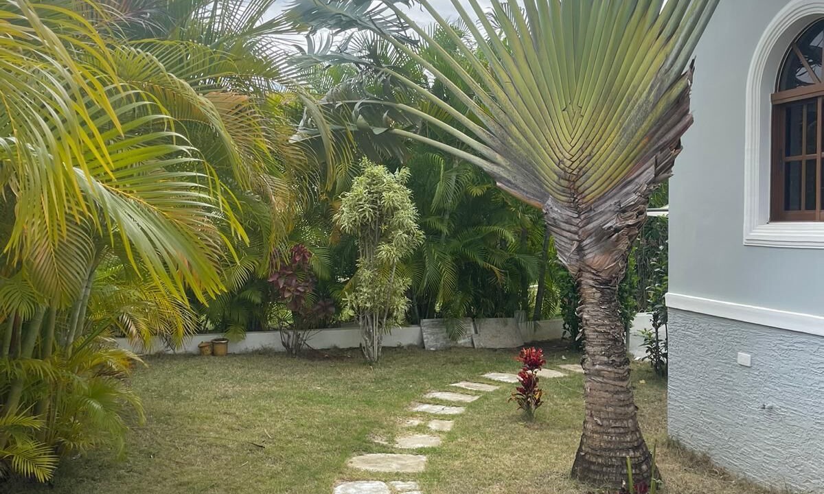 Photo of Outdoor in La Mulata
