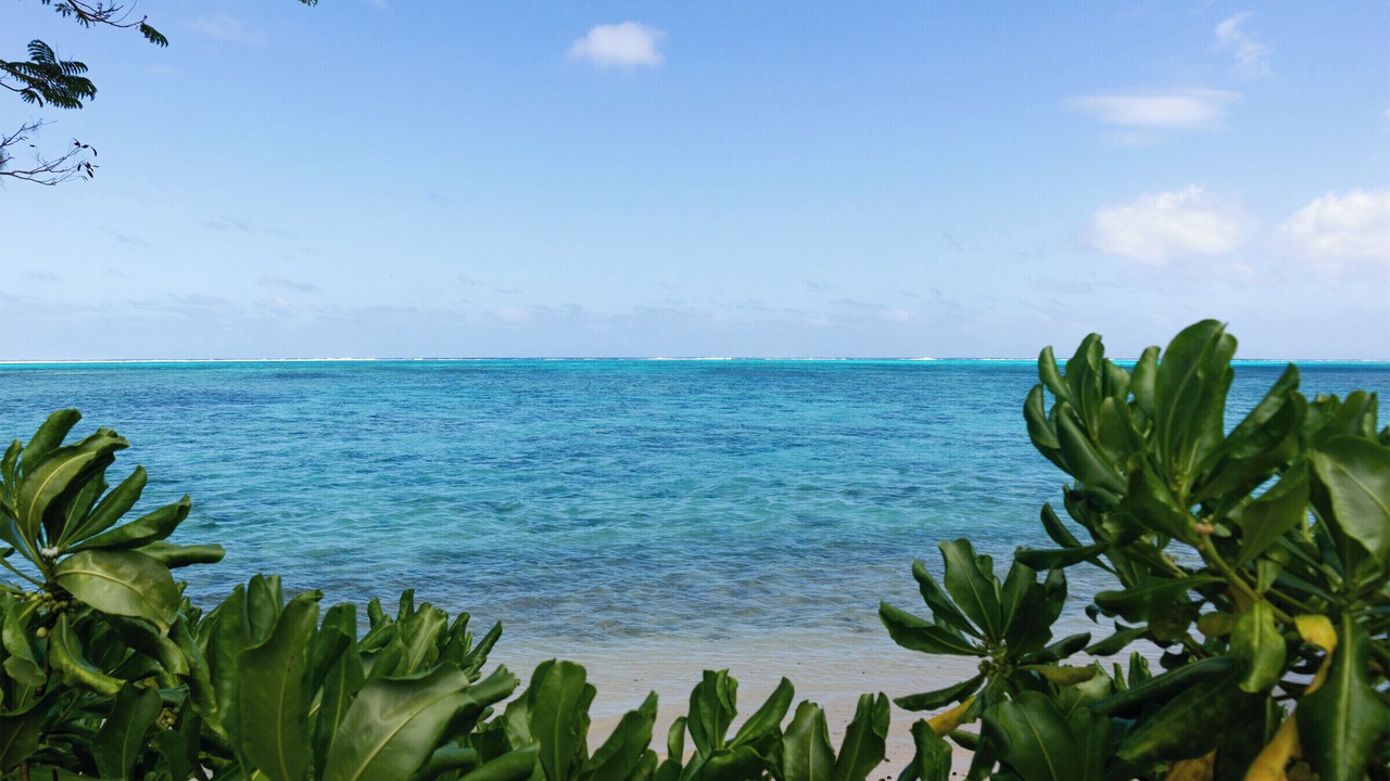 Photo of Others in Moorea-Maiao