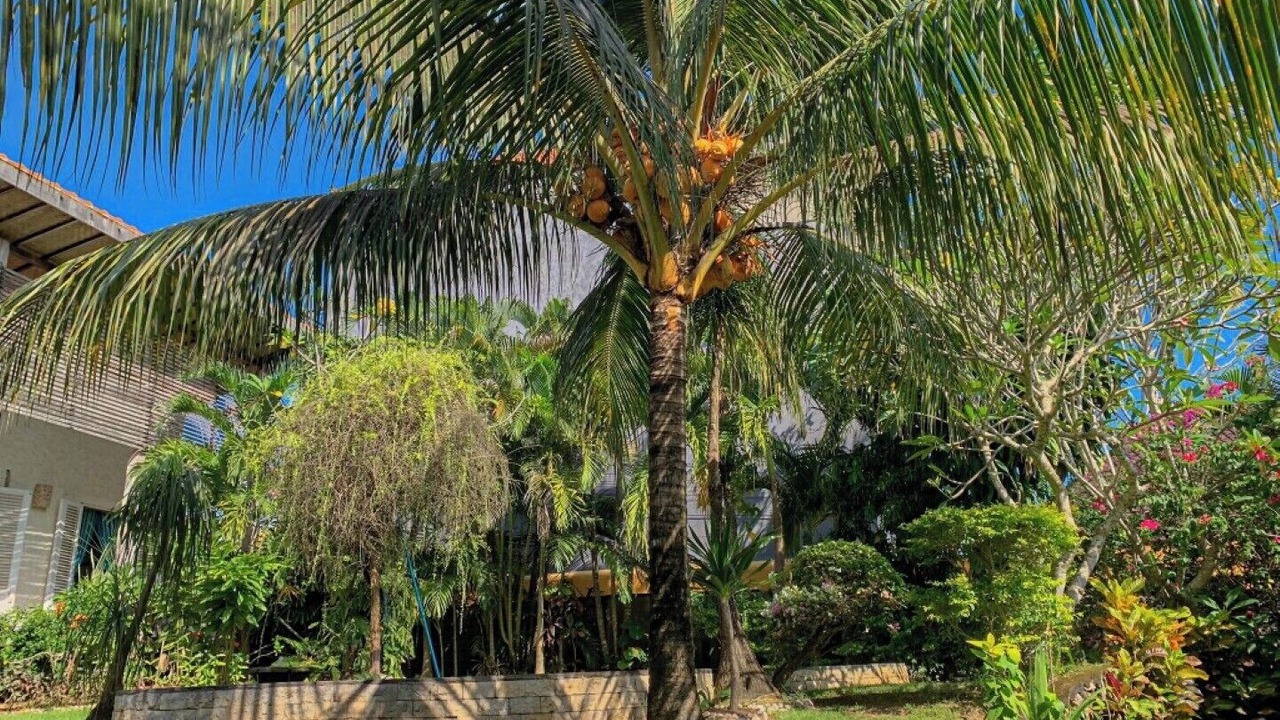 Photo of Outdoor in Jimbaran