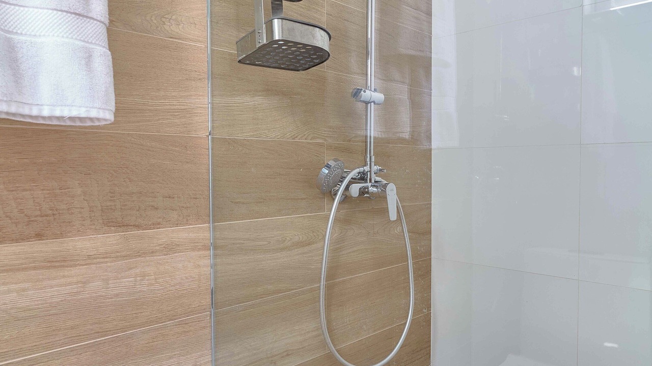 Photo of Bathroom in Ensanche Quisqueya