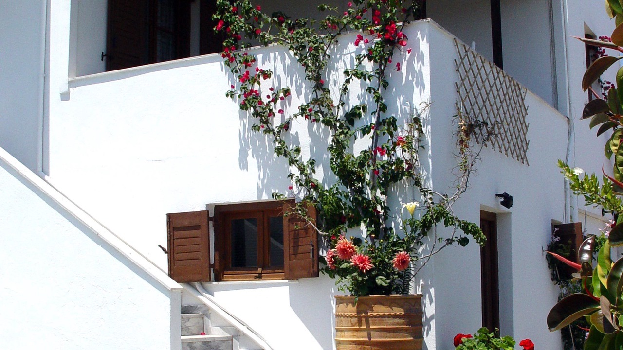 Photo of Outdoor in Aliki