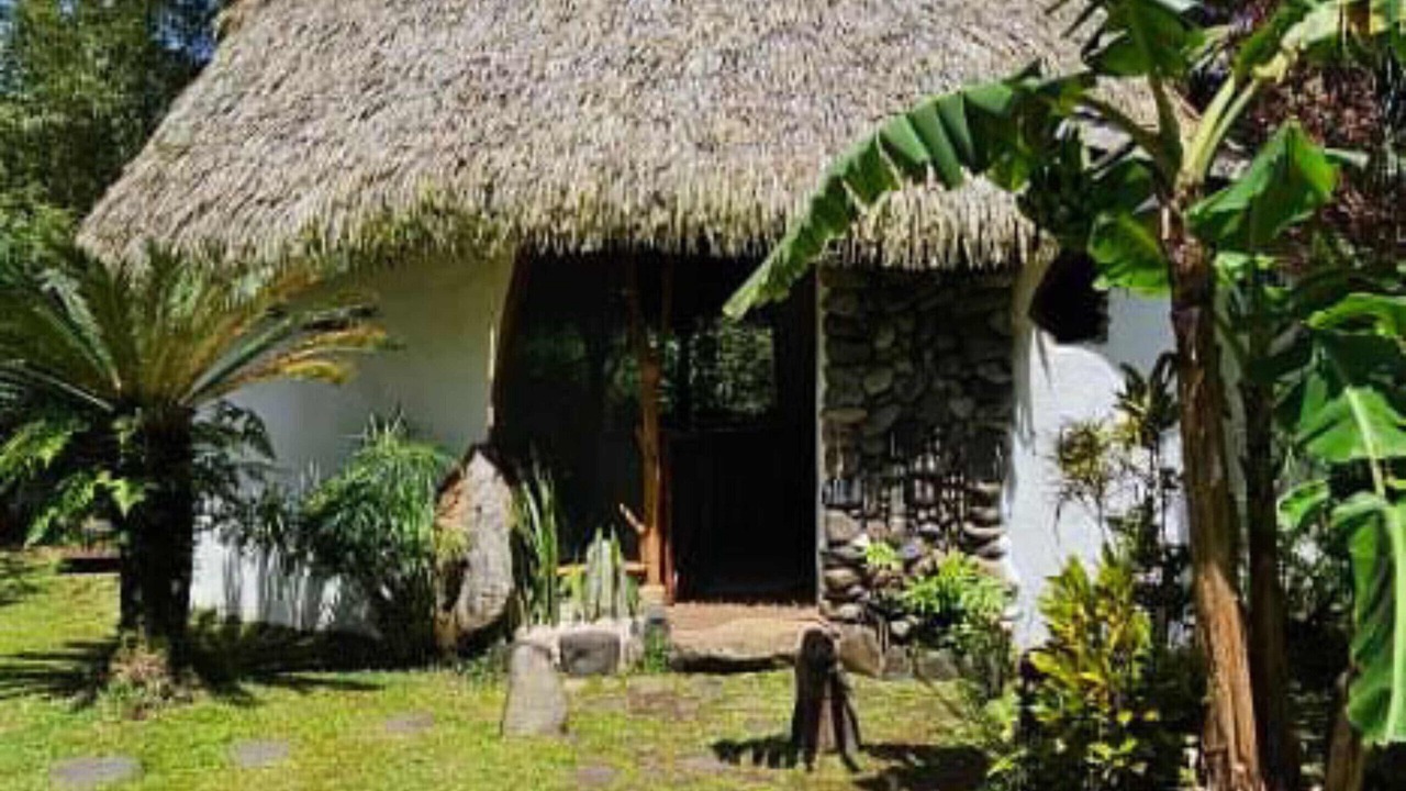Photo of Outdoor in Teahupo'o
