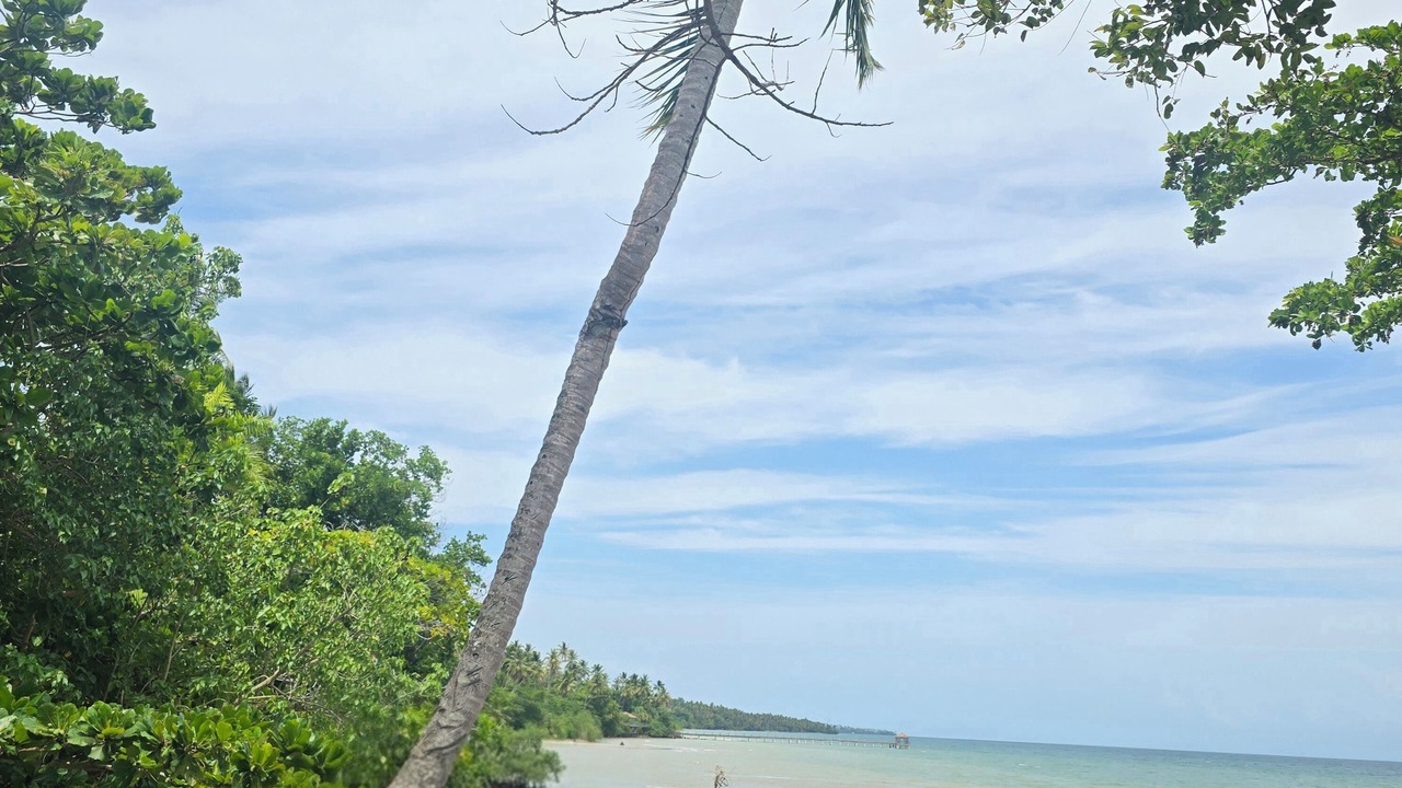 Photo of Others in Puerto Bahia