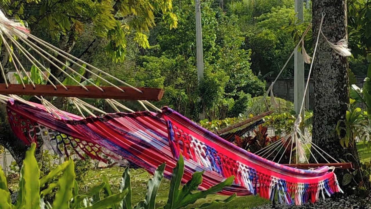 Photo of Outdoor in Los Brazos