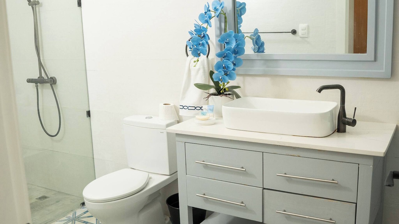 Photo of Bathroom in Los Brazos