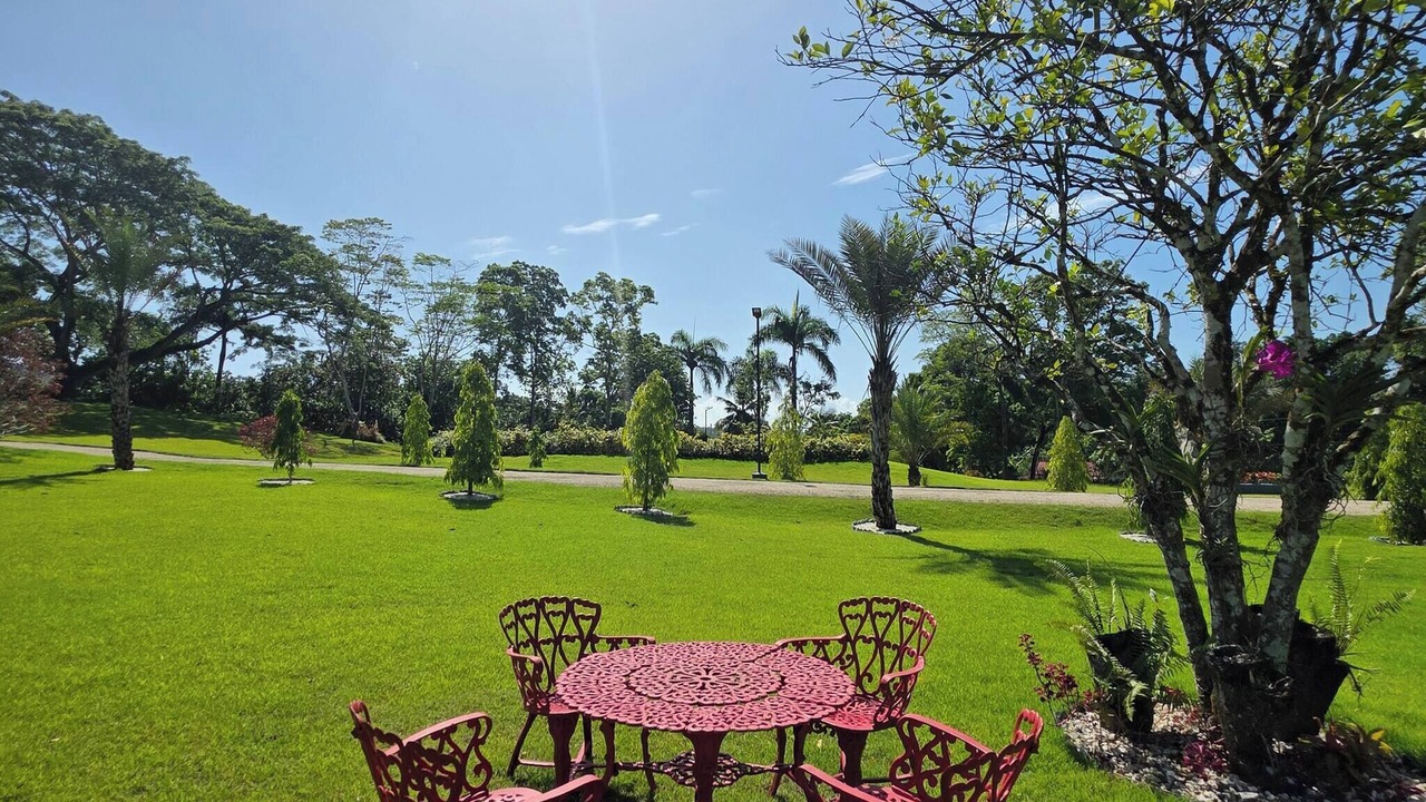 Photo of Outdoor in Los Brazos