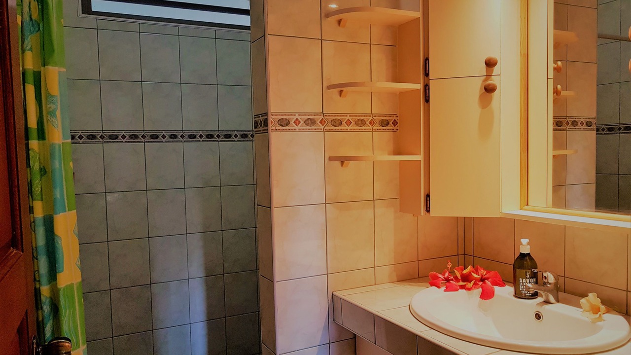 Photo of Bathroom in Huahine