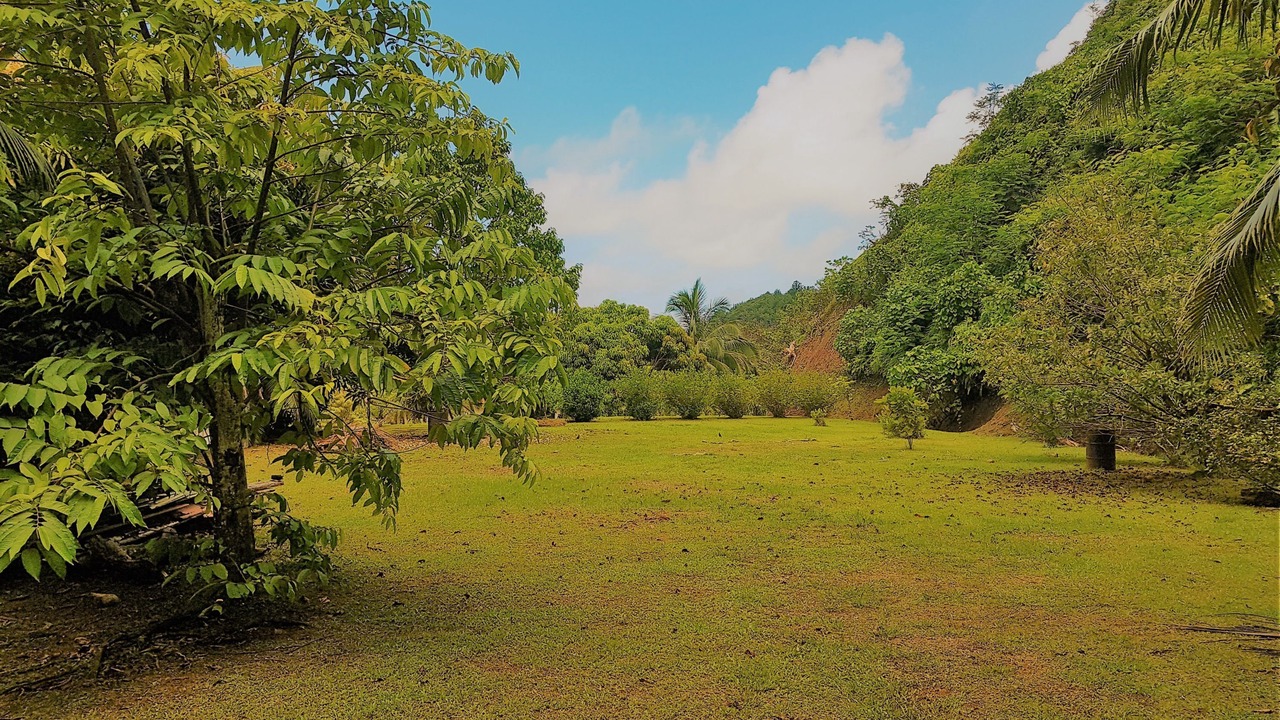Photo of Outdoor in Huahine