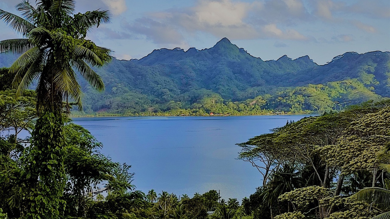 Photo of Others in Huahine