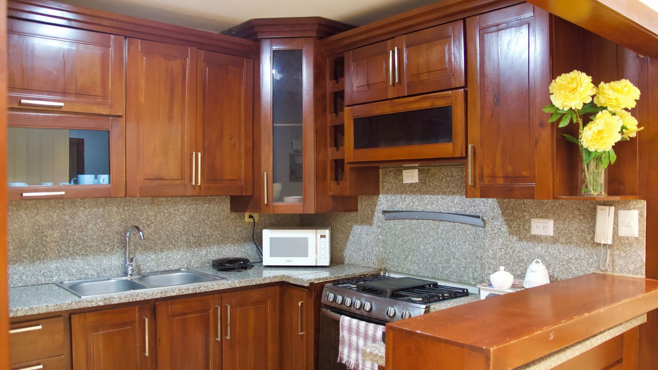 Photo of Kitchen in San Francisco de Macoris