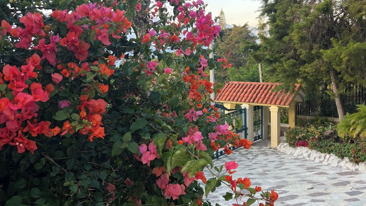 Photo of Outdoor in Constanza