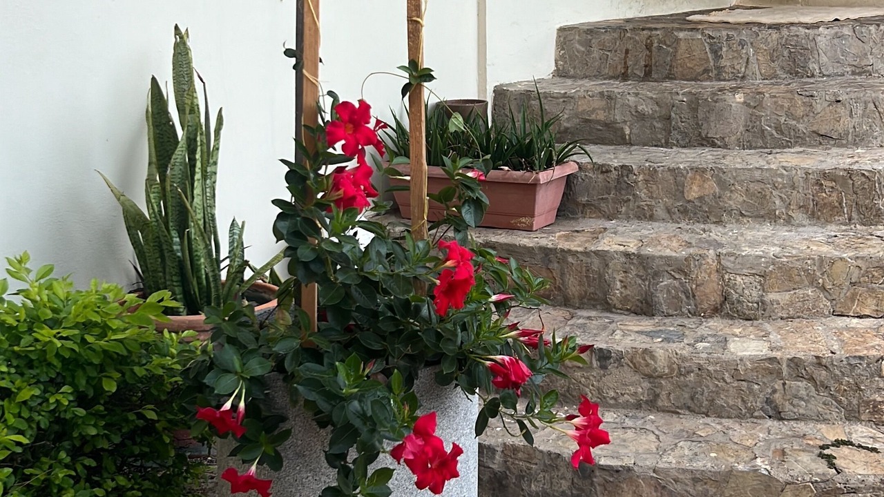 Photo of Outdoor in Constanza