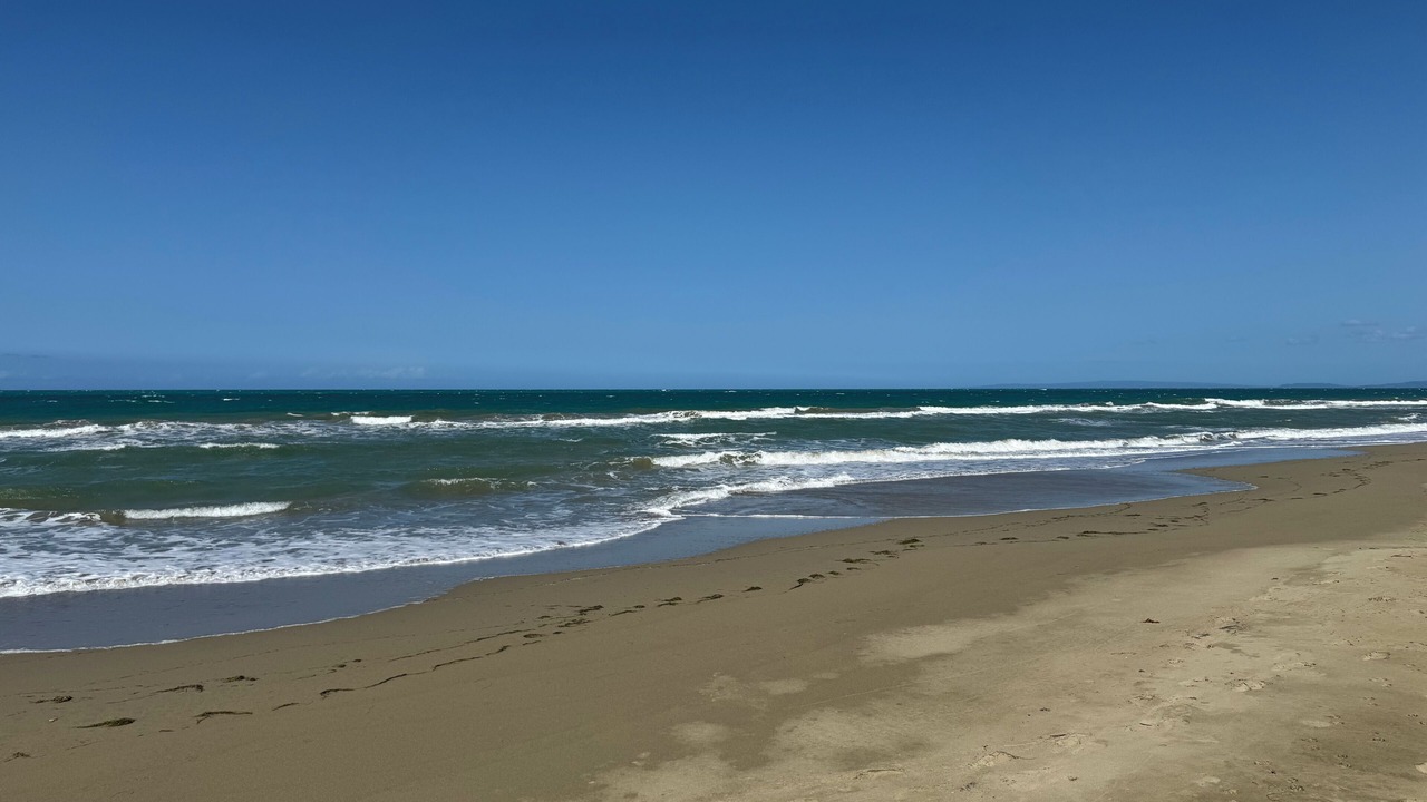 Photo of Others in Cabarete