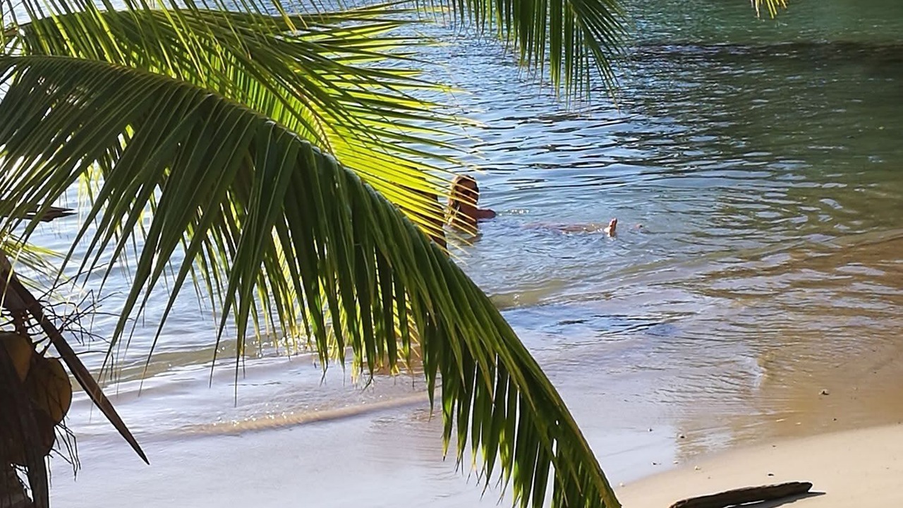 Photo of Others in Cook's Bay