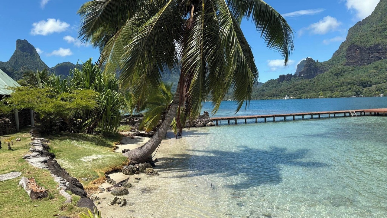 Photo of Others in Cook's Bay