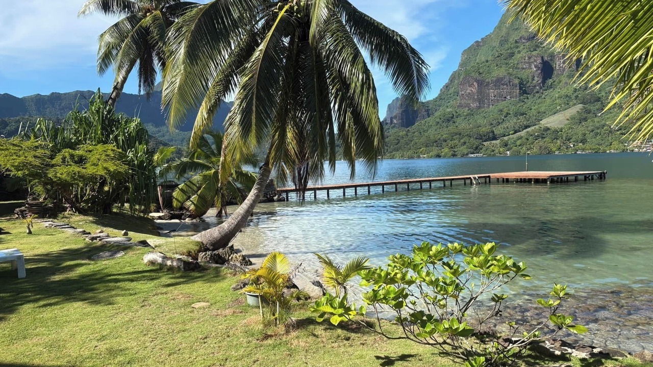 Photo of Outdoor in Cook's Bay