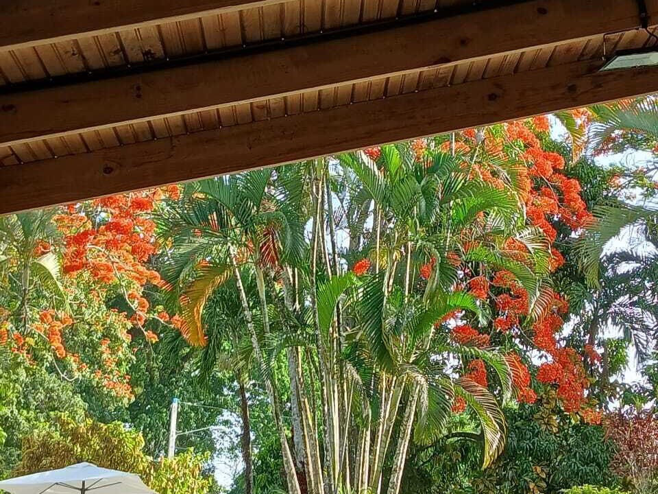 Photo of Outdoor in Bonao