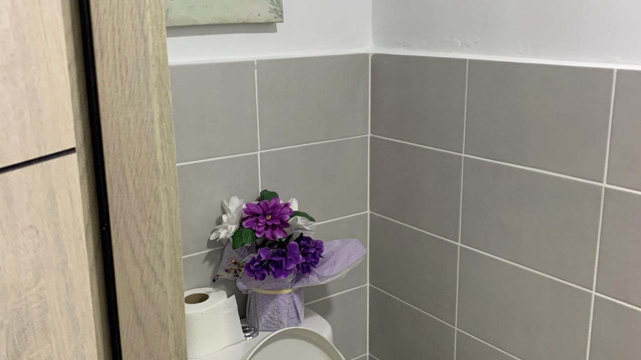 Photo of Bathroom in Evaristo Morales