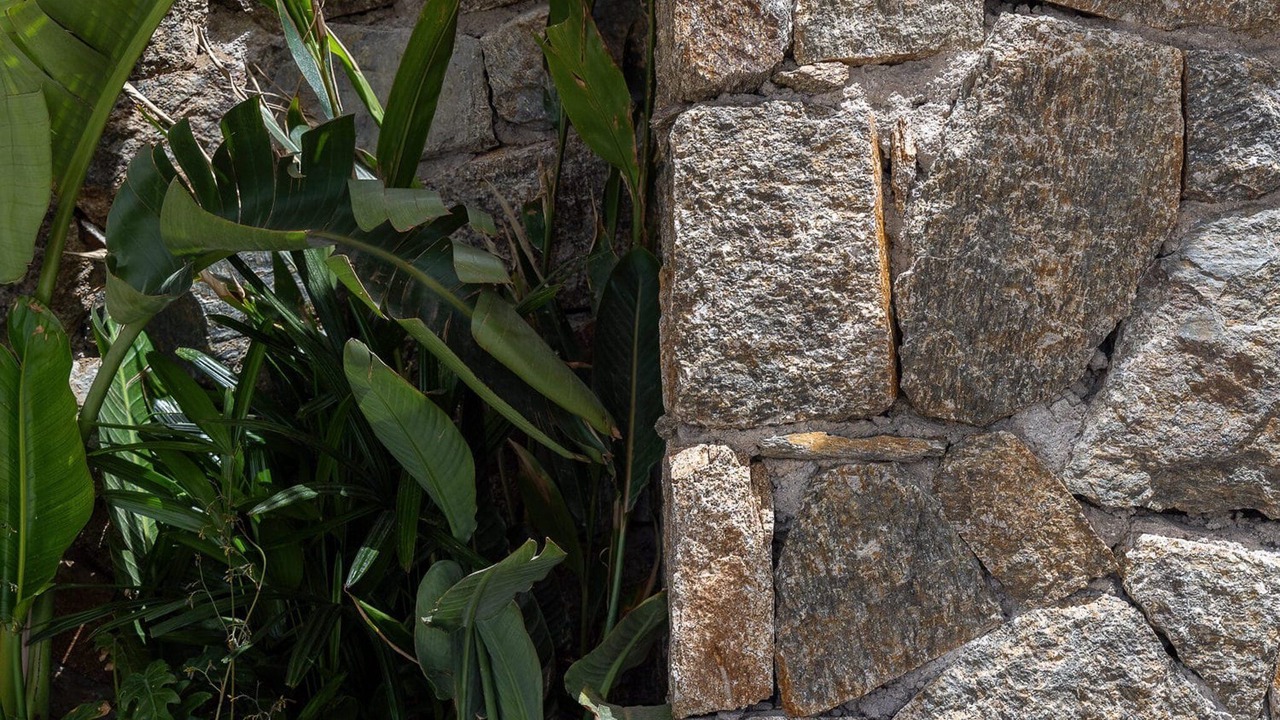 Photo of Others in Agios Stefanos