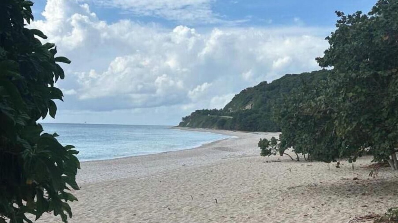 Photo of Others in Paraiso