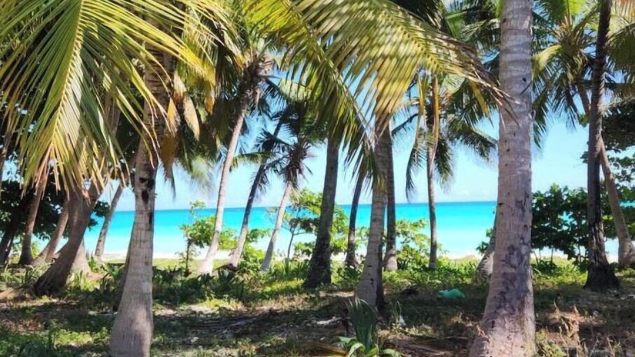 Photo of Others in Paraiso