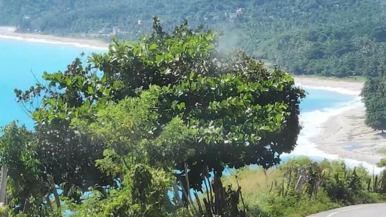 Photo of Others in Paraiso